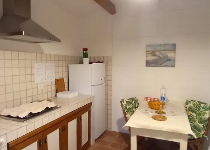 Apartman Domus Antiga *
