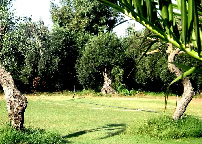 Domus Antiga Apartman