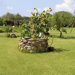 Apartman Domus Antiga