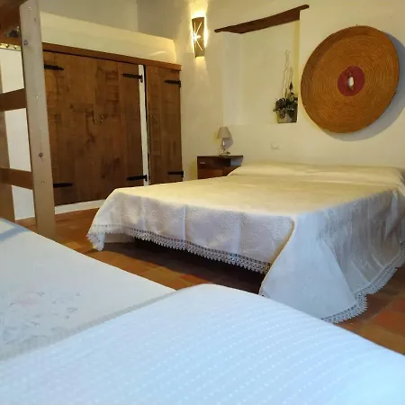 Domus Antiga Apartment