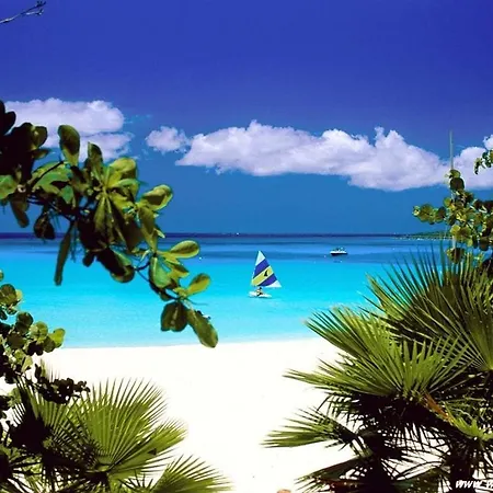 Domus Antiga דירה *