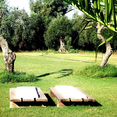 Domus Antiga Apartment