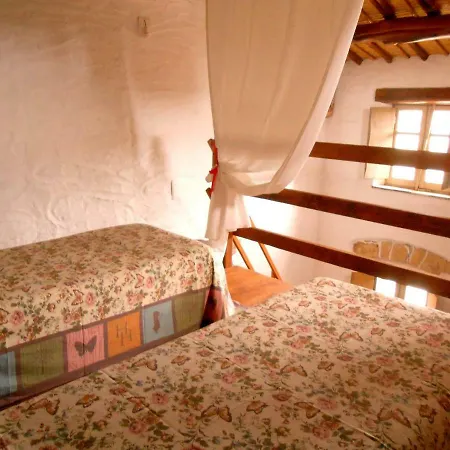 Domus Antiga Apartment *