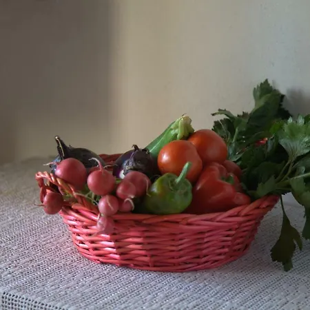 Appartement Domus Antiga