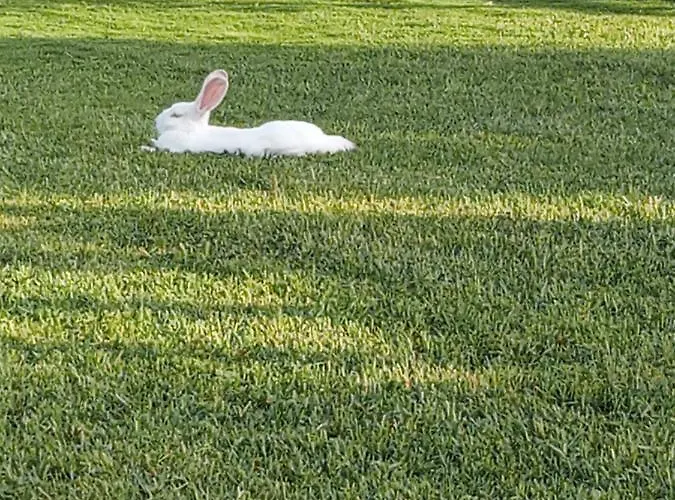 Apartment Domus Antiga San Giovanni Suergiu