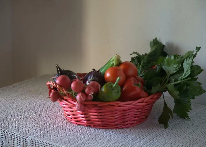 Apartment Domus Antiga